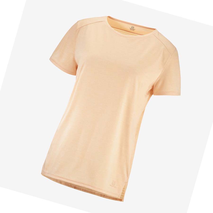 Camiseta Salomon OUTLINE SUMMER Mujer Marrom | MX 2550QMA